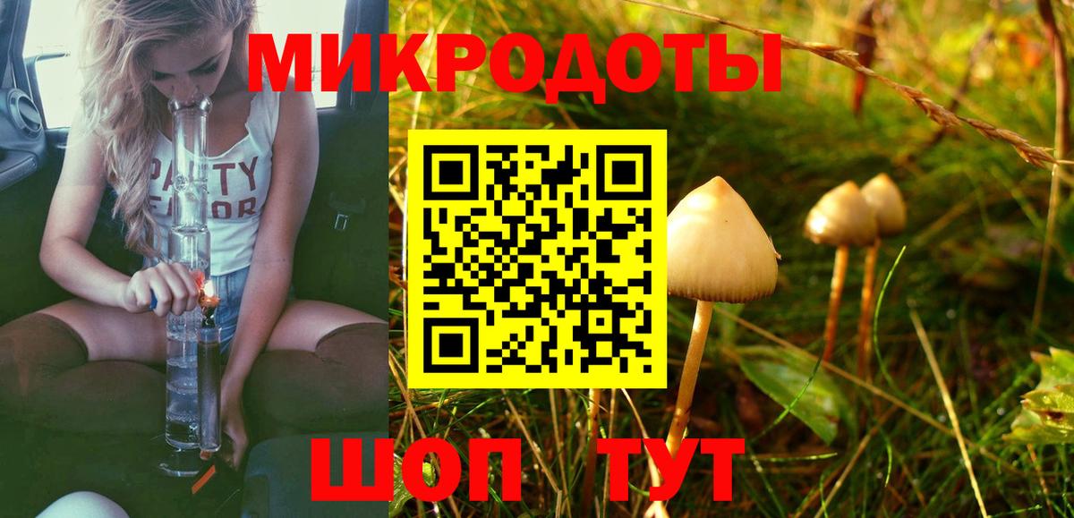 Коломна  Псилоцибиновые грибы Psilocybine cubensis  Вход с VPN 